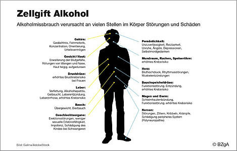 Schaubild: Zellgift Alkohol