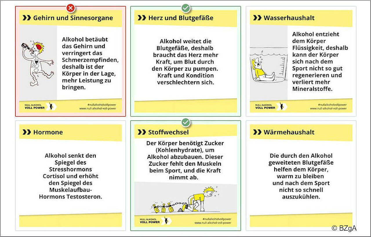 Übung zum Thema Alkoholwirkung auf Organe. Bild: BZgA