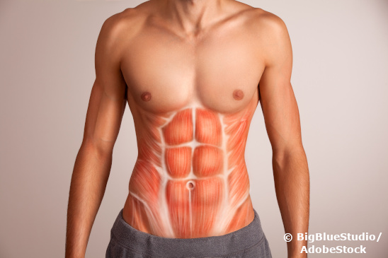 Was Hat Ein Waschbrettbauch Mit Einem Sixpack Zu Tun Null Alkohol Voll Power